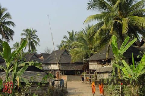 『隨華全，觀天下』 ——走進勐海